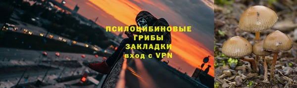 гидропоника Арсеньев