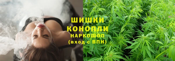 гидра Аркадак
