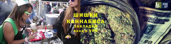 гидра Аркадак