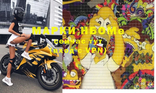 гидра Аркадак